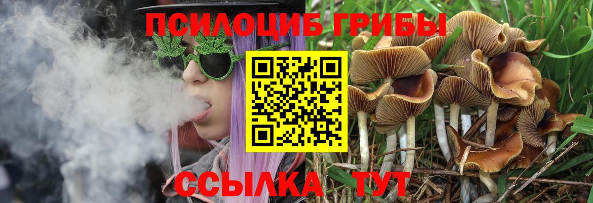 Галлюциногенные грибы Magic Shrooms  Вход с VPN  даркнет сайт  Смоленск 